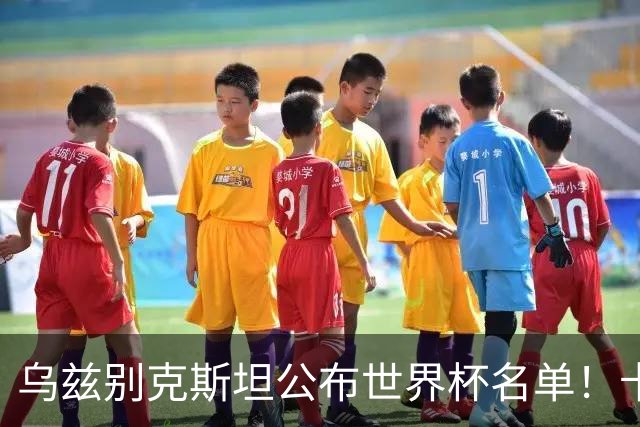 乌兹别克斯坦公布世界杯名单！卡纳瓦罗带队 历史首次参赛